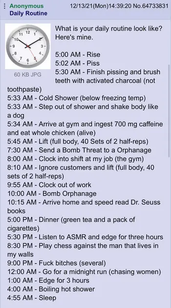 4chan post detailing a horribly exaggerated sigma grindset schedule