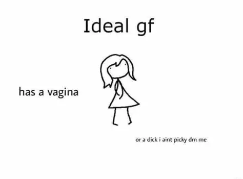 Ideal gf. has a vagina. or a dick i ain’t picky dm me