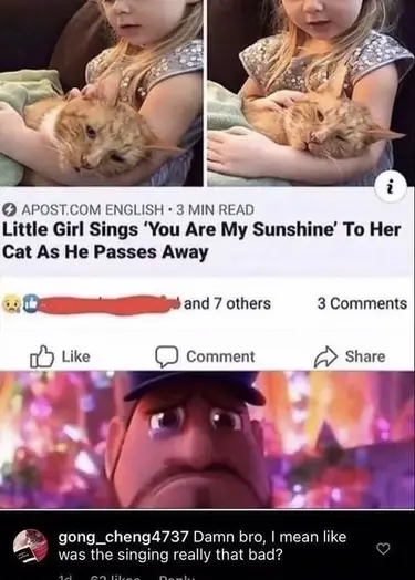 Little Girl Sings ‘You Are My Sunshine’ To Her Cat As He Passes Away. Damn bro, I mean like was the singing really that bad?